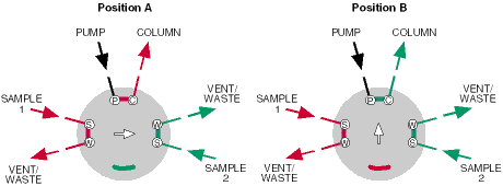 dual sample injector