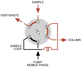 Position B